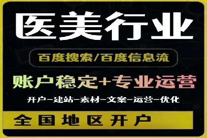 顶级SEM服务公司案例解析